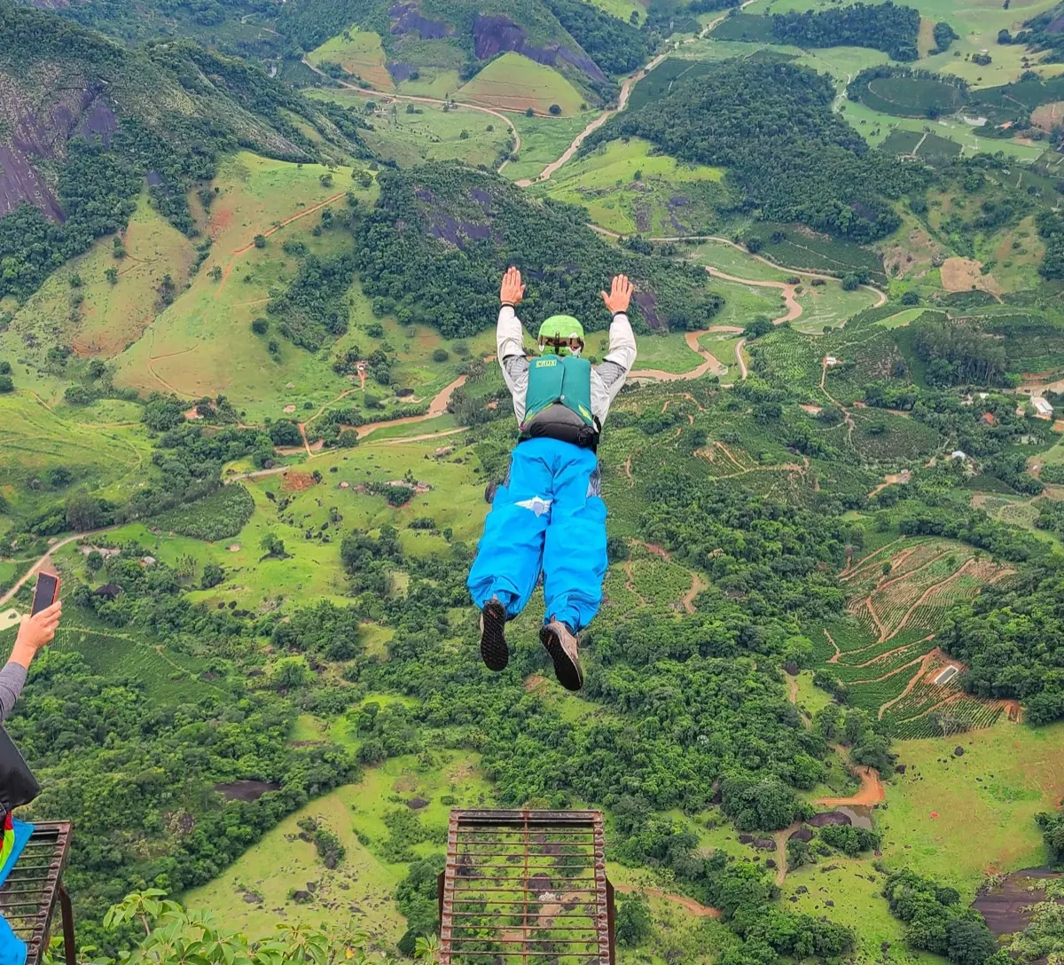 Terminal flight over the Brazilian jungle